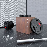 Cast Iron Barbell Weights - Durable and Versatile - PUSCAS POWER GYM EQUIPMENT