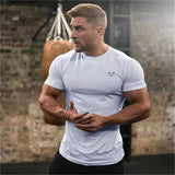 Gym Short Sleeve T Quick Dry Gym Clothes For Running - PUSCAS POWER GYM EQUIPMENT