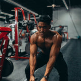 Vegan Power & Gains Program: Unlock Your Full Potential with High-Intensity Training (HIT) for Vegans 🌱 - PUSCAS POWER GYM EQUIPMENT